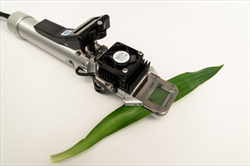 PLC3 Universal Leaf Cuvette - PP systems