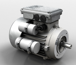 ELECTRIC MOTORS HSE Motovario
