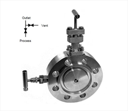 Single Block and Bleed Monoflange with OSandY Primary Isolation Valve 6MB-10MB Budenberg