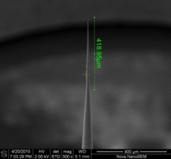 SA025 for Nano probing System MSCT-SA025TPL013TC025-CR20+ Mesoscope