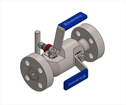 Forged Block and Bleed Valve 97 Budenberg