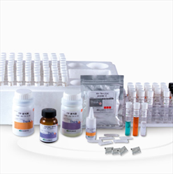 Water Test Kit -  Humas