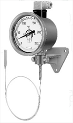 Đồng hồ đo nhiệt độ TFK Rueger