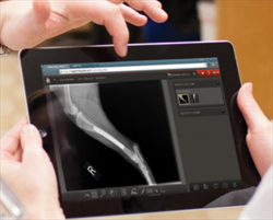 Diagnostic Imaging and Telemedicine Consultants IDEXX Web PACS Idexx