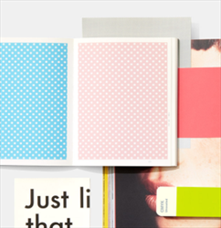 CMYK Color Guide Coated & Uncoated GP5101 Pantone