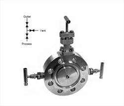 Double Block and Bleed Monoflange with OSandY Primary Isolation Valve 6MBB Budenberg