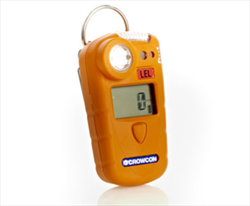 Portable Detector Gasman Crowcon