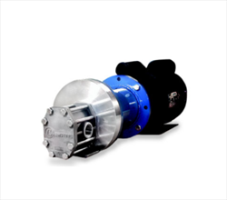 Industrial/Heavy Duty Gear Pumps and Gear Heads PPS Gear Pumps Chemsteel