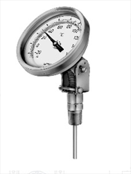 Đồng hồ đo nhiệt độ TM Rueger