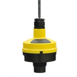 EchoPod (Yellow) Switch, Cont. & Trans.-2.5m range, 1 NPT DL24-01 Flowline
