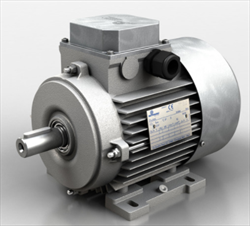 ELECTRIC MOTORS D/DB Motovario
