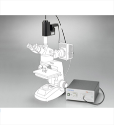Thiết bị đo chiều dày Single-Spot Measurements F40 Series Filmetrics