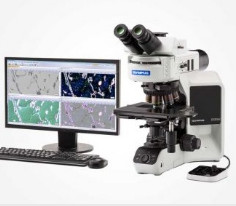 Kính hiển vi Upright Metallurgical Microscopes BX53M - Olympus