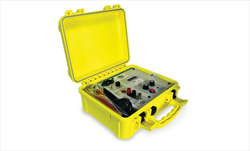 Portable Megohmmeter R1M-A Tegam