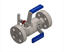 Flanged lnlet with Flanged Outlet 98F Budenberg