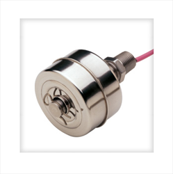 Single-Point Level Switch LS-1750 Gems sensors