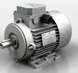 ELECTRIC MOTORS TS/TH/TP/TBS/TBH/TBP Motovario