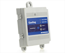Detection Control System Gasflag Crowcon