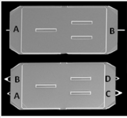 Silicon Nitride Probes NITRA-TALL App Nano