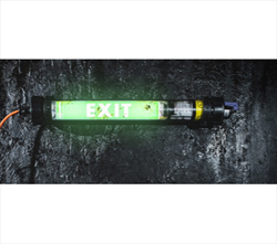 Đèn phòng nổ SLAM® HORNET EXIT 1LED Atexor