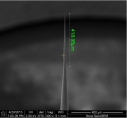 SA025 for Nano probing System CR5 Mesoscope